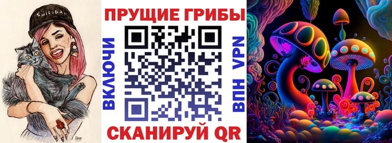 Галлюциногенные грибы Cubensis  Горбатов 
